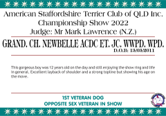 12. GRAND. CH. NEWBELLE ACDC ET. JC. WWPD. WPD..png